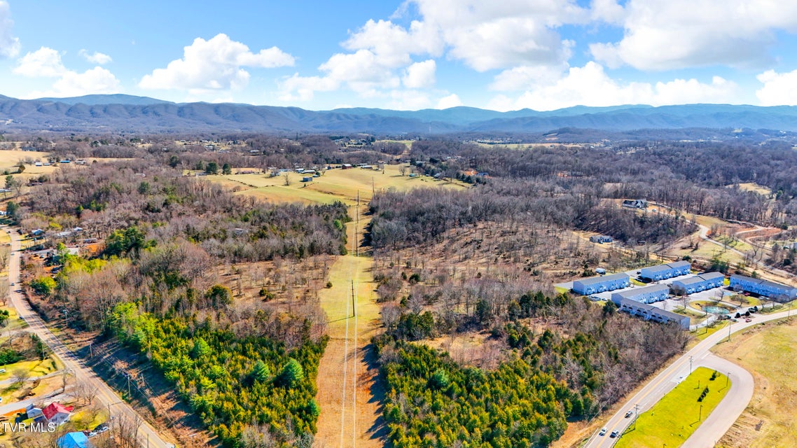 Photo #3: Tbd Hwy 81 South