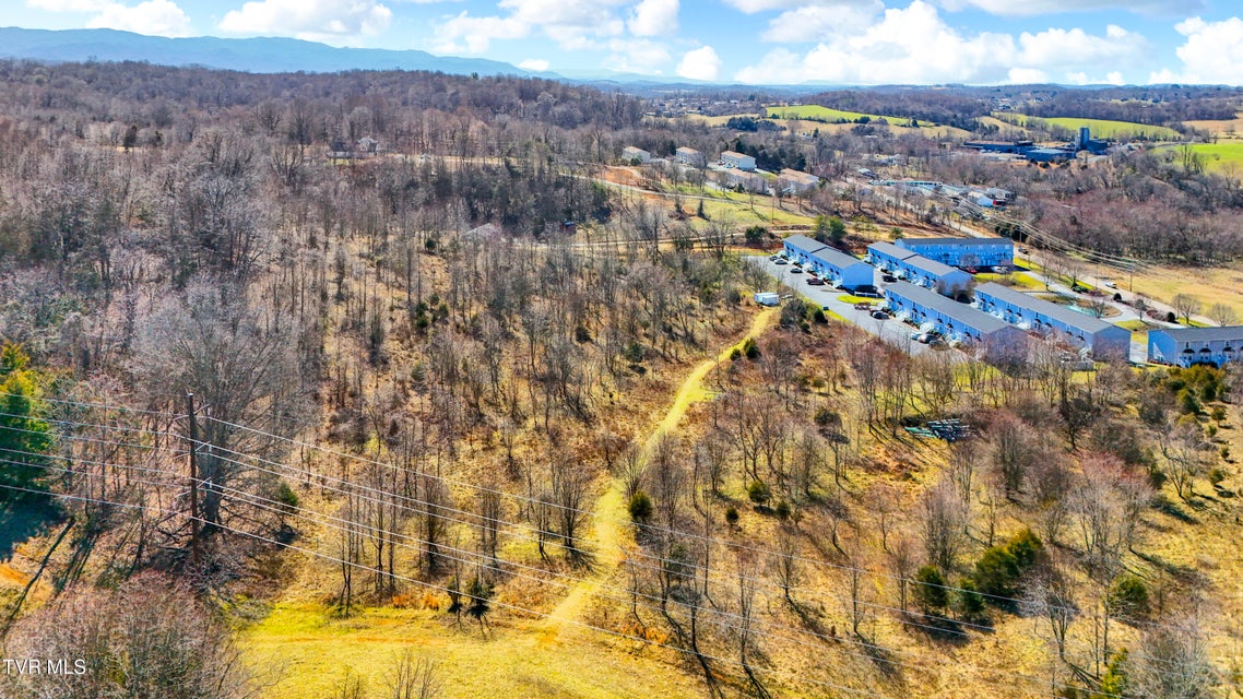 Photo #8: Tbd Hwy 81 South