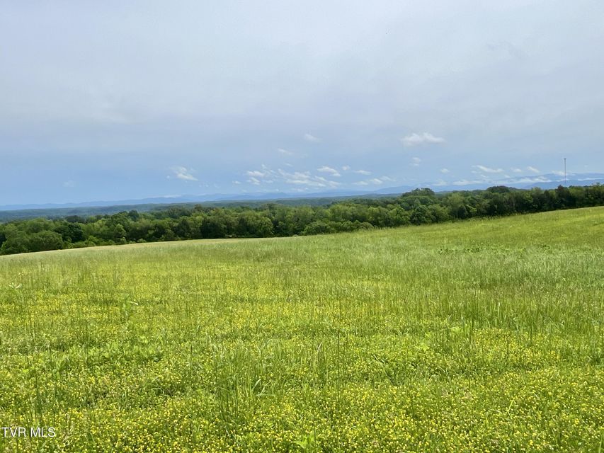 Photo #2: 58/Ac Tbd River View Drive