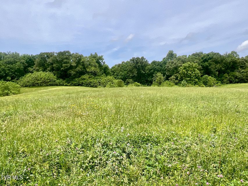 Photo #3: 58/Ac Tbd River View Drive