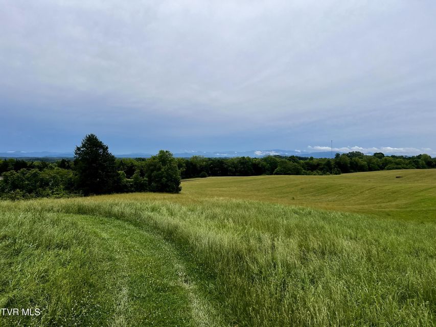 Photo #5: 58/Ac Tbd River View Drive