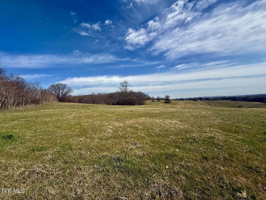 Photo #7: 58/Ac Tbd River View Drive