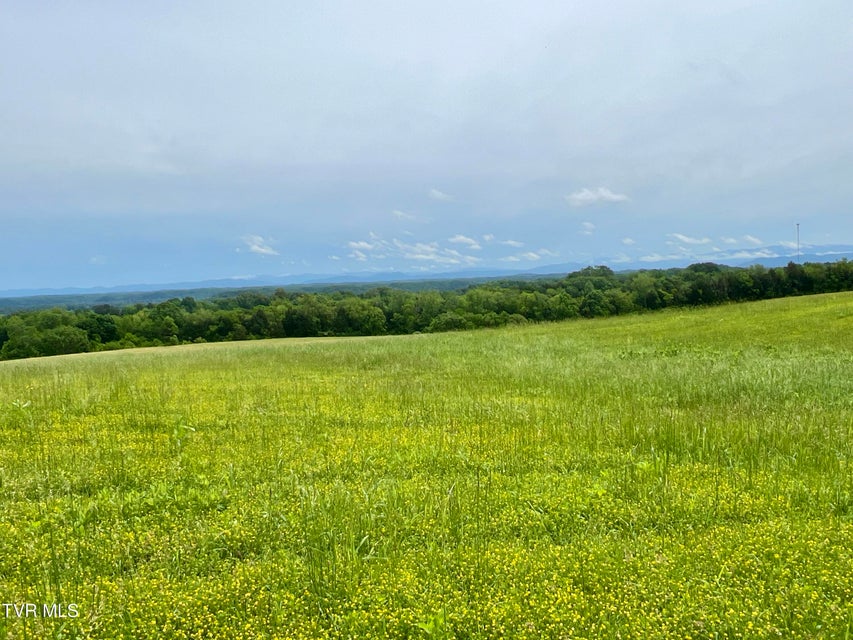 Photo #6: 2034 River View Dr