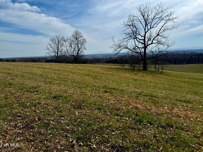 Photo #8: 2034 River View Dr