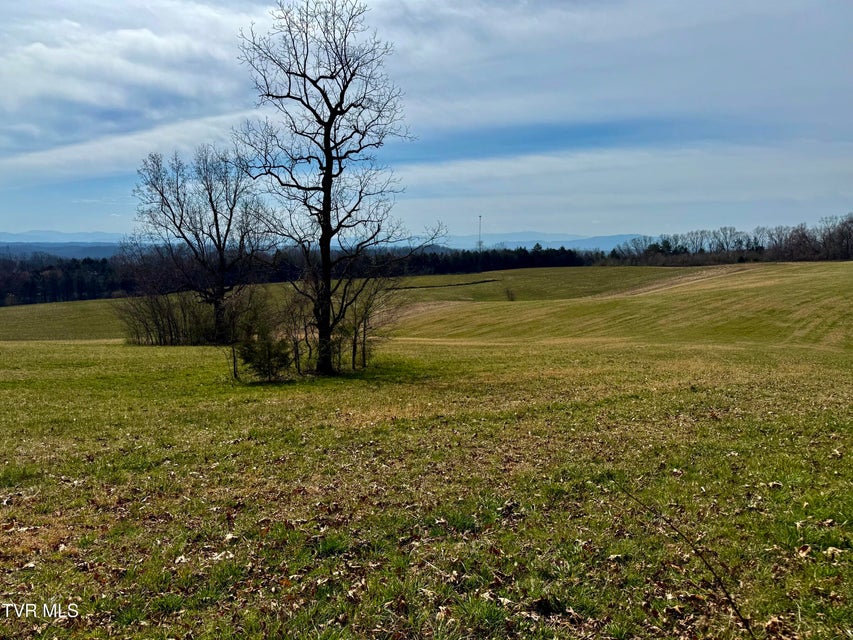 Photo #9: 2034 River View Dr