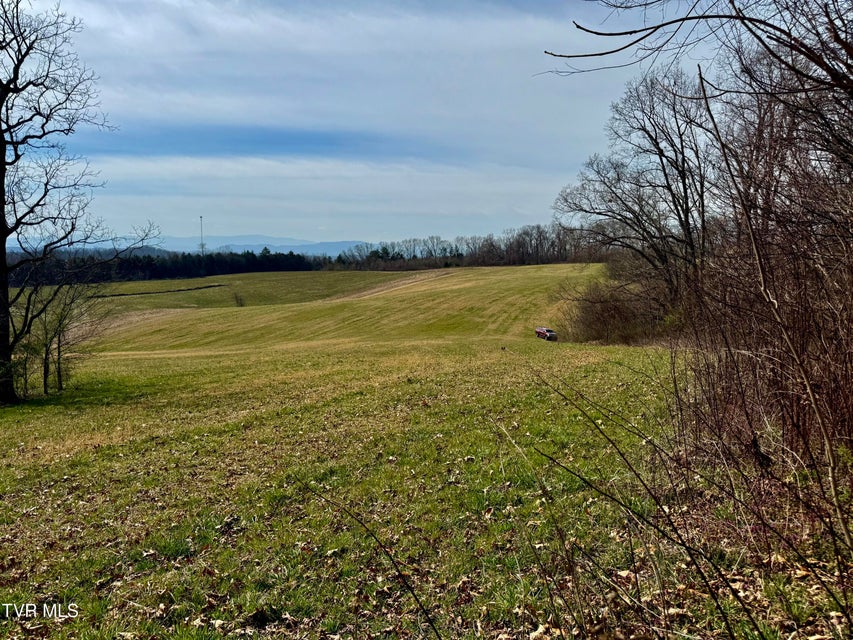 Photo #10: 2034 River View Dr