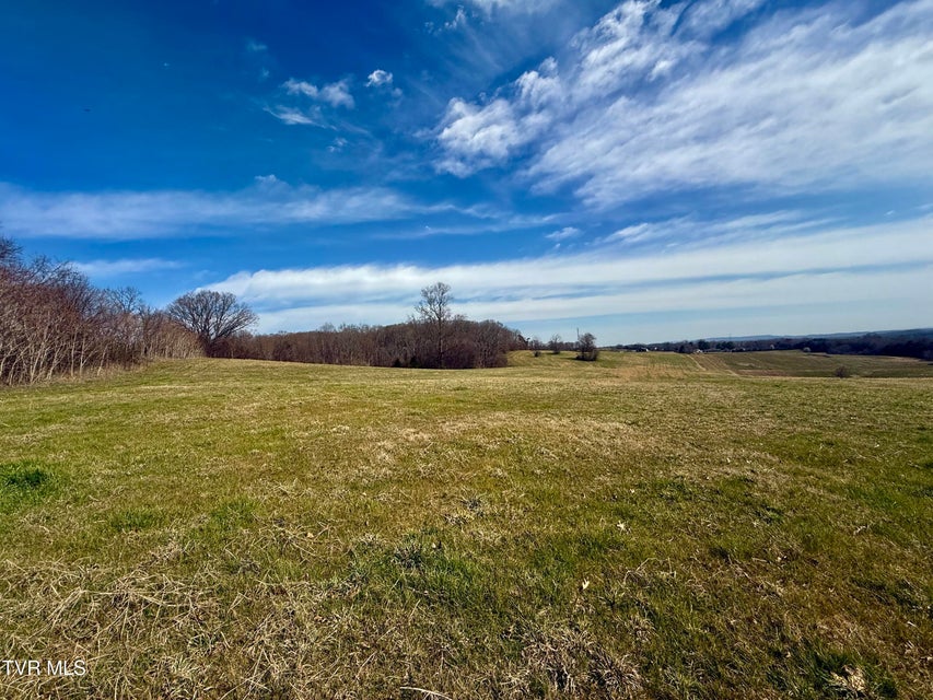 Photo #11: 2034 River View Dr