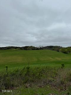 Photo #9: 000 Robert Harmon Road
