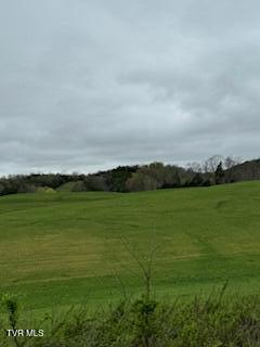 Photo #7: 000 Robert Harmon Road