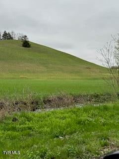 Photo #5: 000 Robert Harmon Road