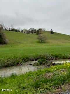 Photo #4: 000 Robert Harmon Road