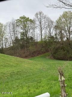 Photo #2: 000 Robert Harmon Road