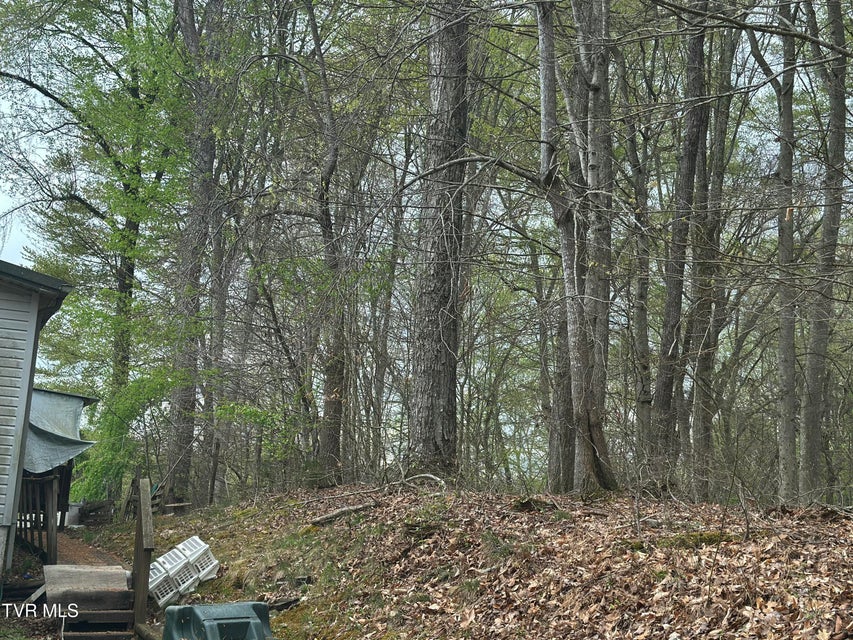 Photo #60: 674 Ridge Drive