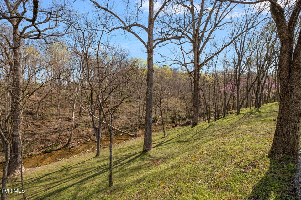 Photo #38: 649 Gap Creek Road