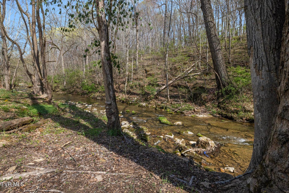 Photo #5: 649 Gap Creek Road