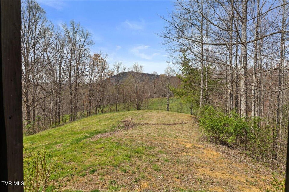 Photo #79: 181 Conley Stevens Road