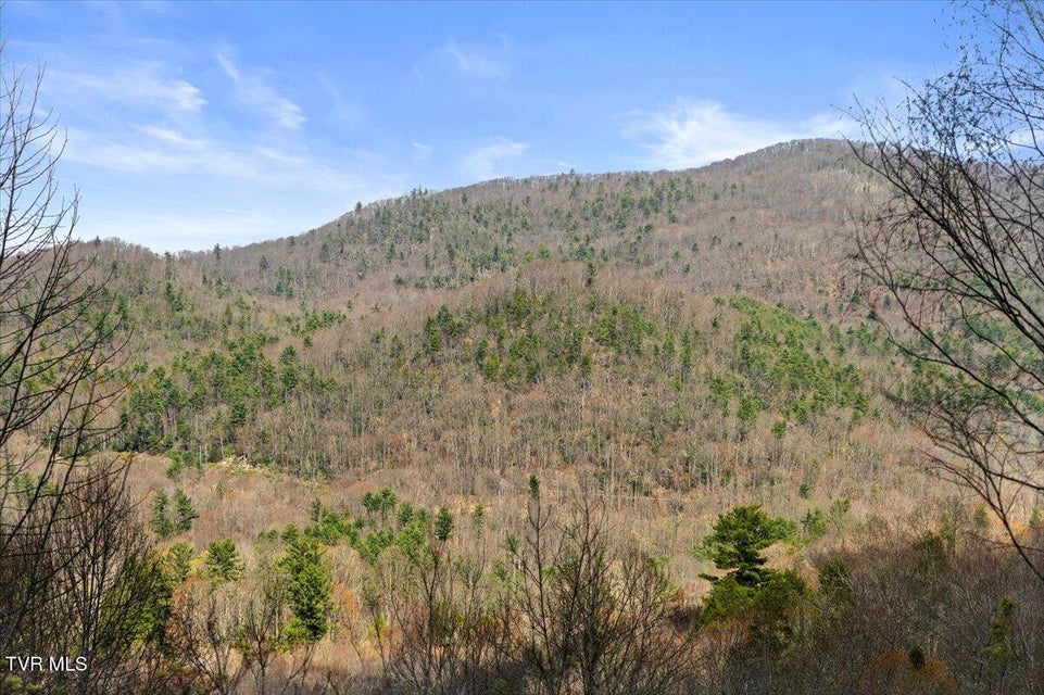 Photo #78: 181 Conley Stevens Road