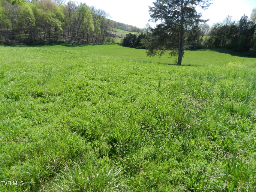 Photo #39: 14930 Kingsport Highway