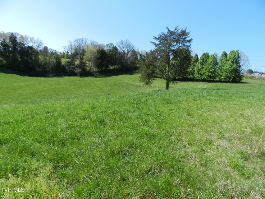 Photo #45: 14930 Kingsport Highway