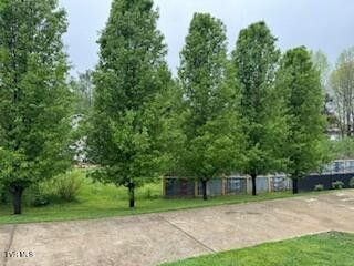 Photo #6: 65 Mill Drive