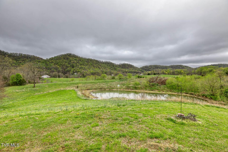 Photo #71: 376 Webb Road