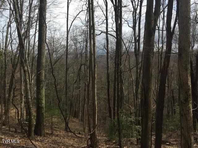 Photo #4: 00 Heaton Branch Road