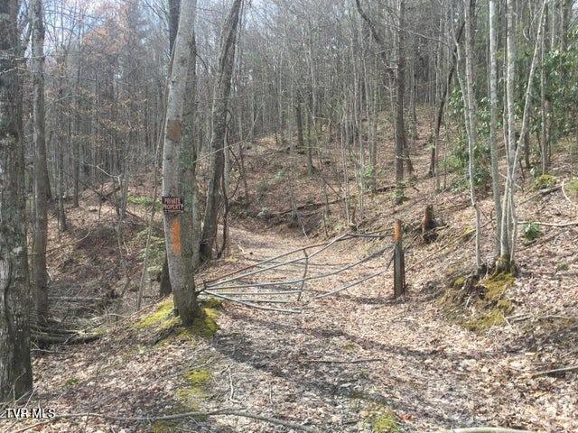 Photo #5: 00 Heaton Branch Road