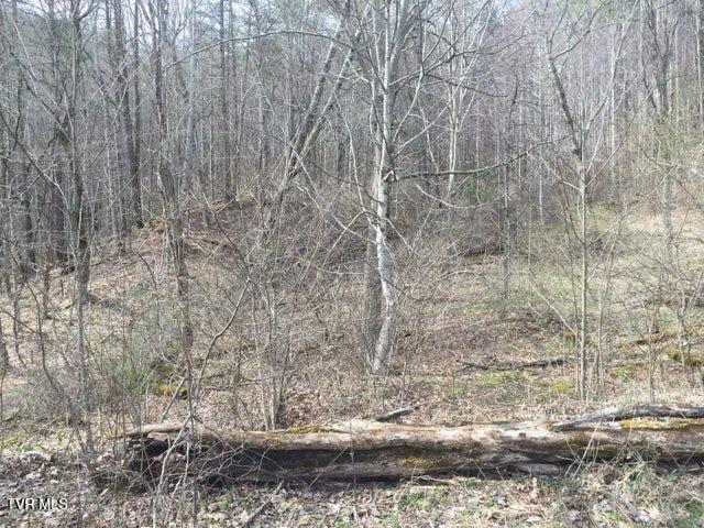 Photo #7: 00 Heaton Branch Road