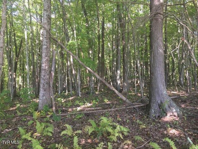 Photo #10: 00 Heaton Branch Road