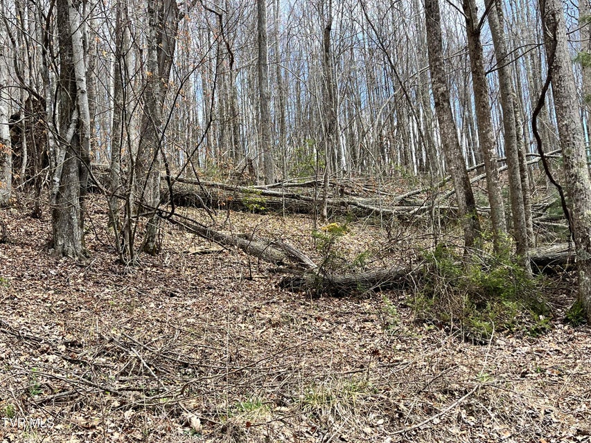 Photo #3: 00 Heaton Branch Road
