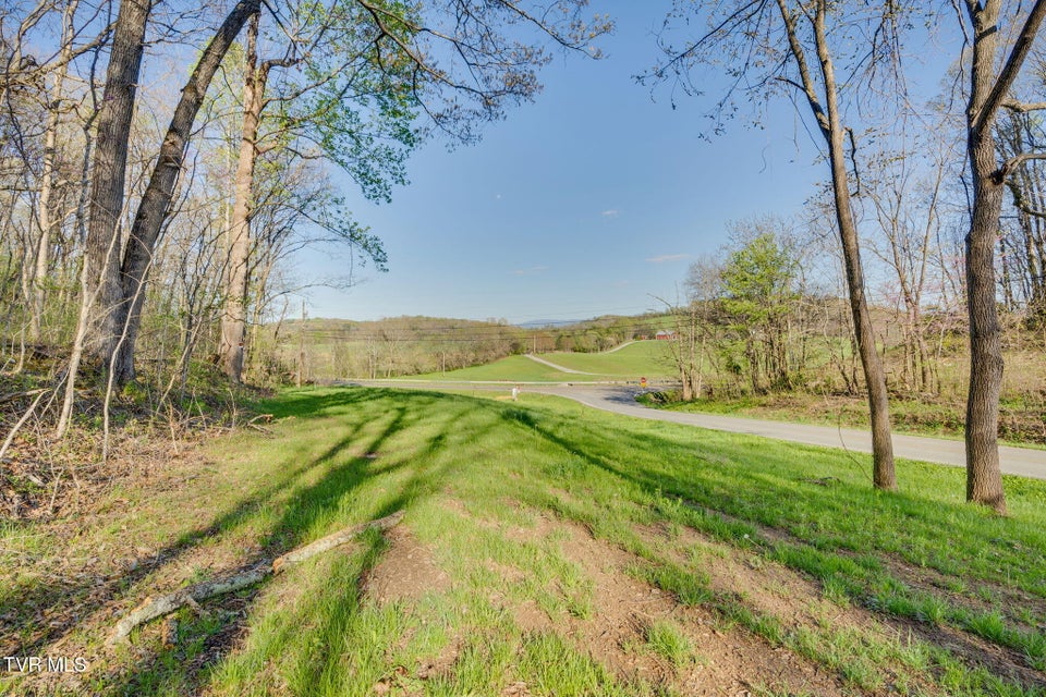 Photo #4: 0 Bright Hope Road