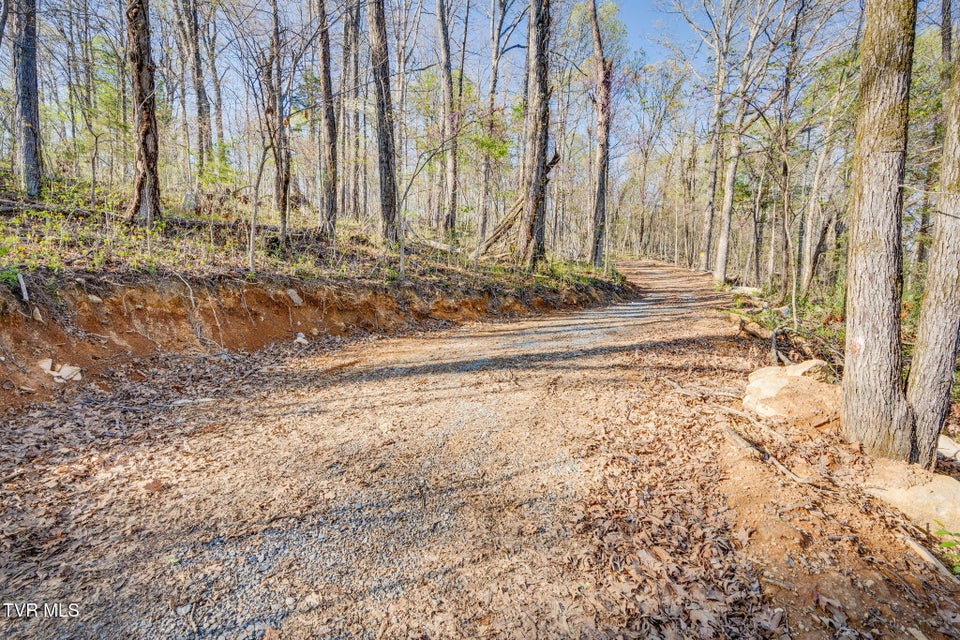 Photo #5: 0 Bright Hope Road