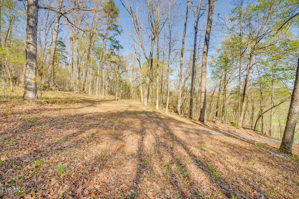 Photo #6: 0 Bright Hope Road