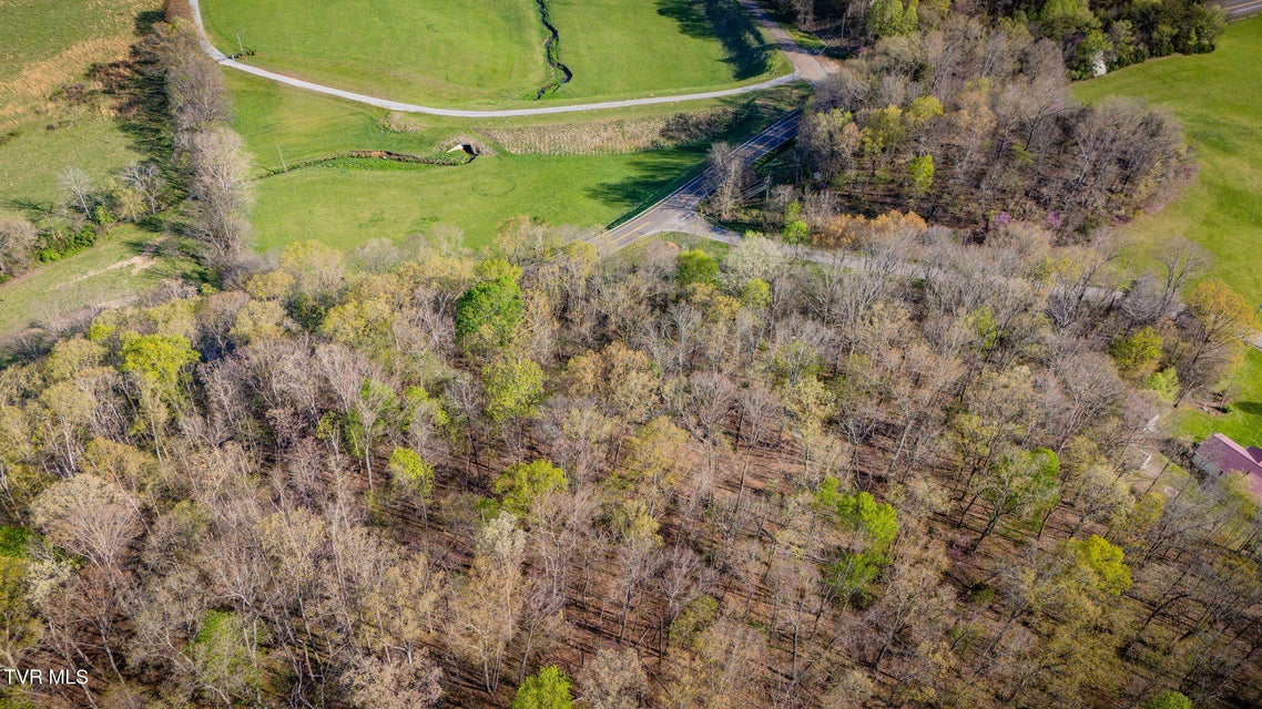 Photo #15: 0 Bright Hope Road