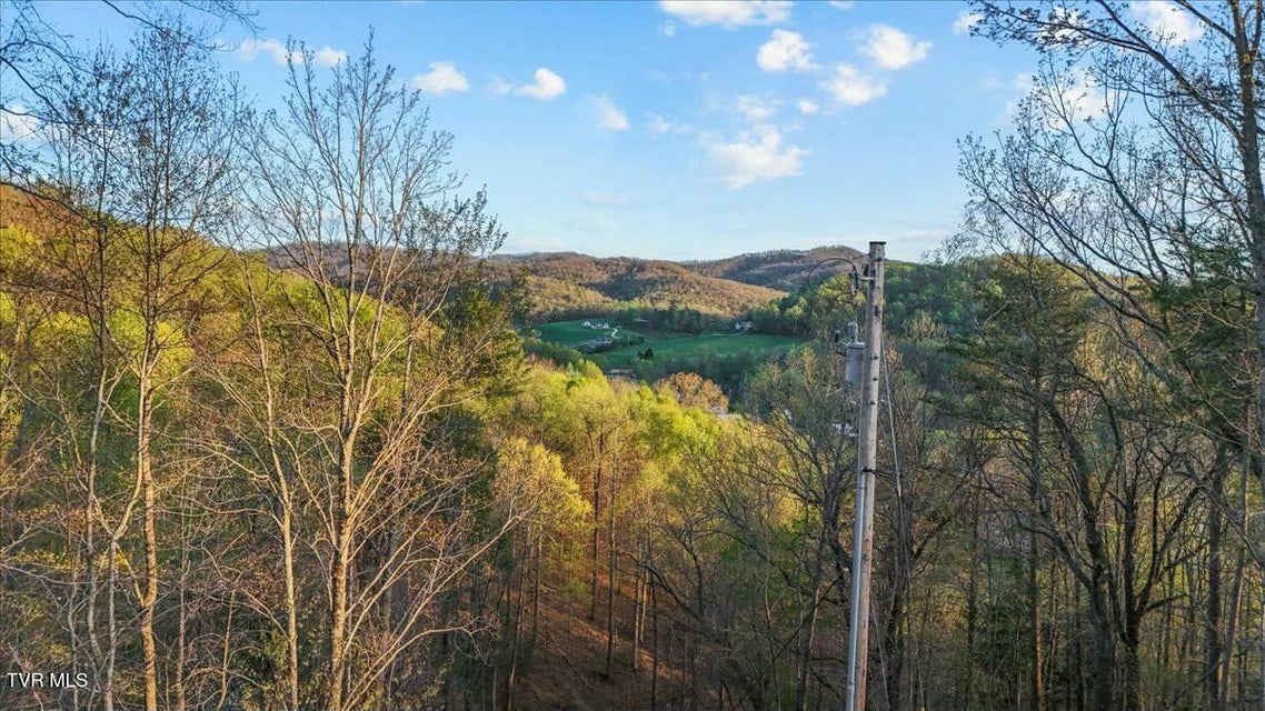 Photo #58: 104 Leedham Lane