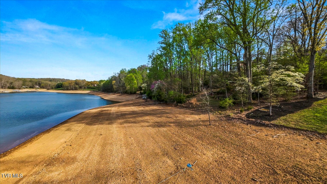 Photo #64: 1888 Wilderness Drive