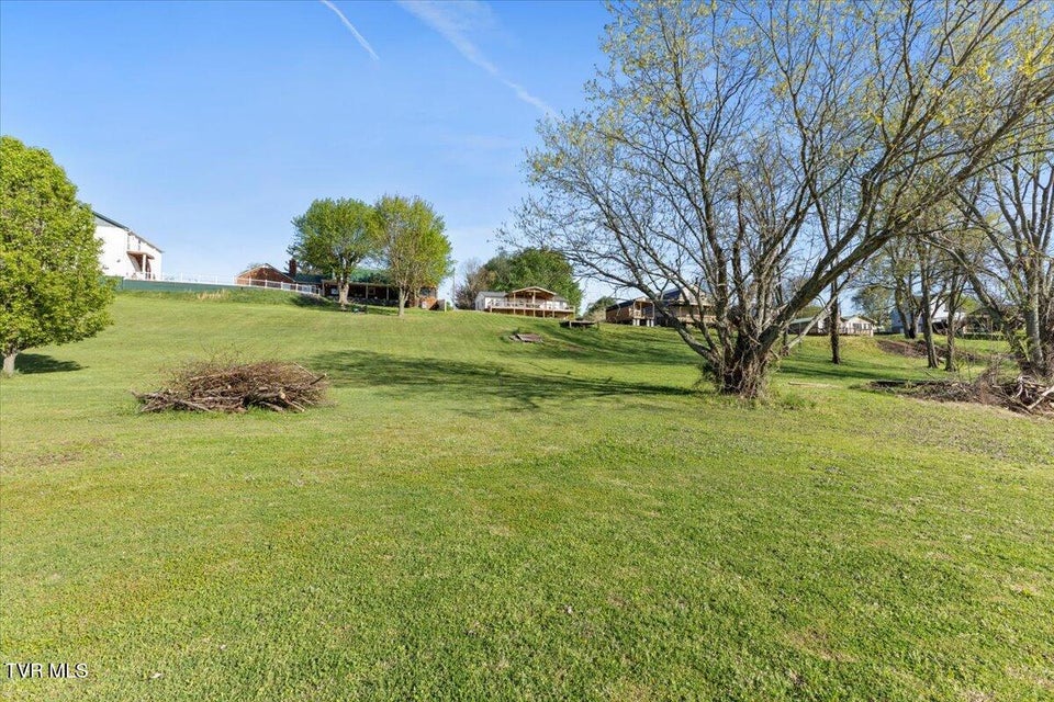 Photo #48: 244 Holston View Drive