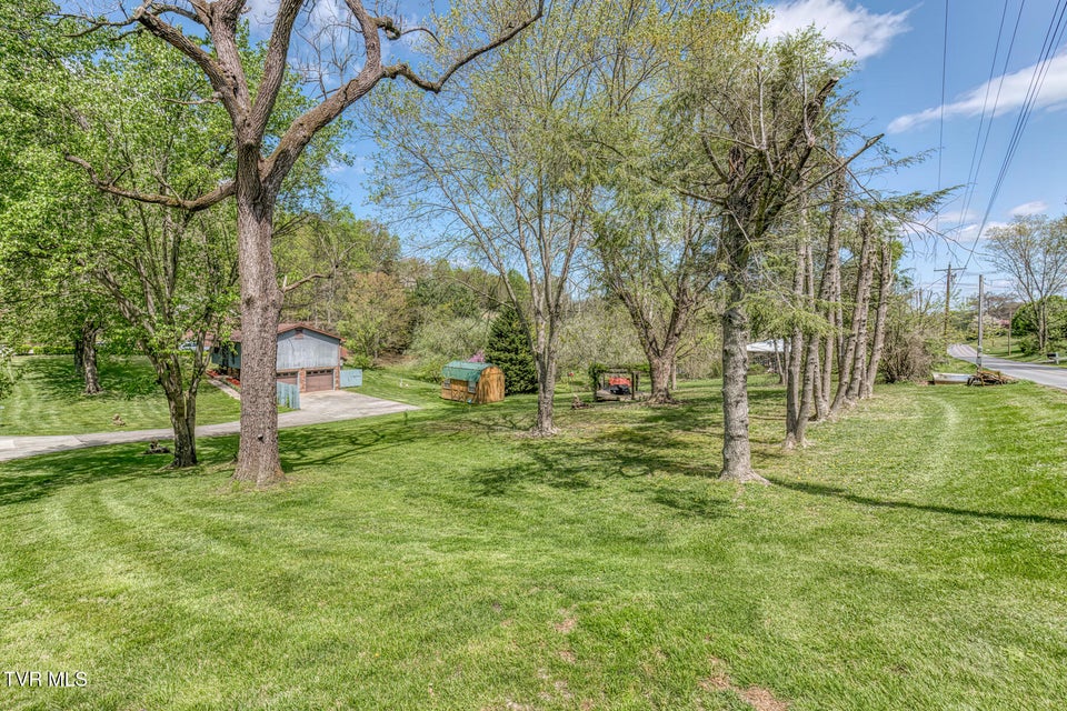 Photo #29: 312 Edgewood Street