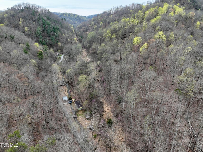 Photo #3: 15866 Large Hollow Road