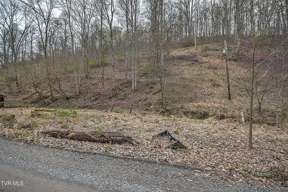 Photo #11: 15866 Large Hollow Road