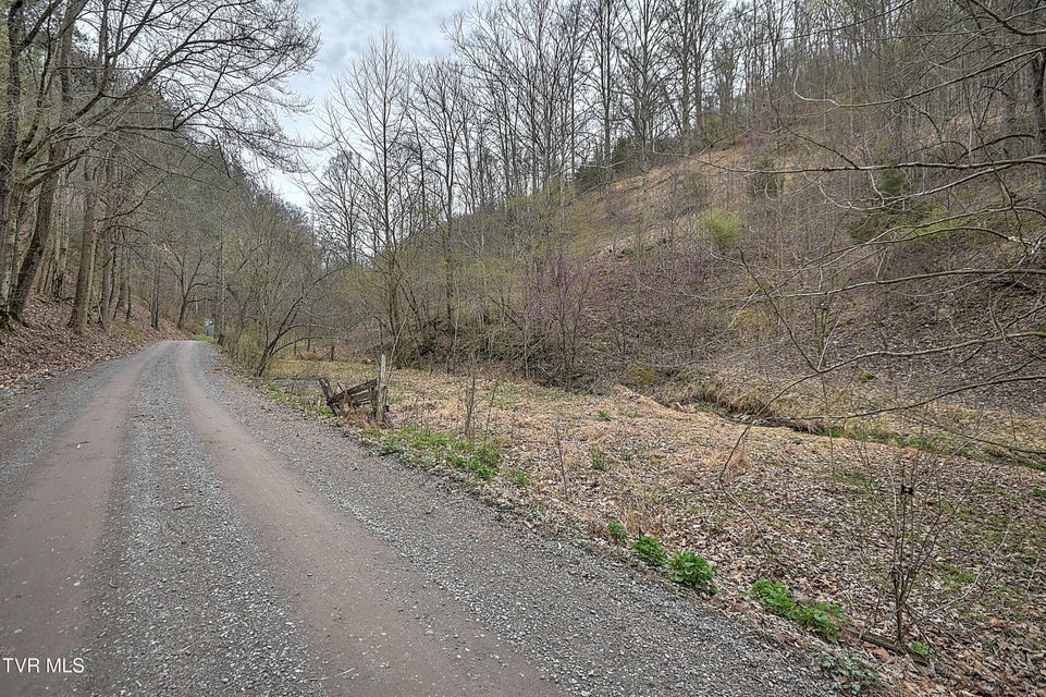 Photo #13: 15866 Large Hollow Road
