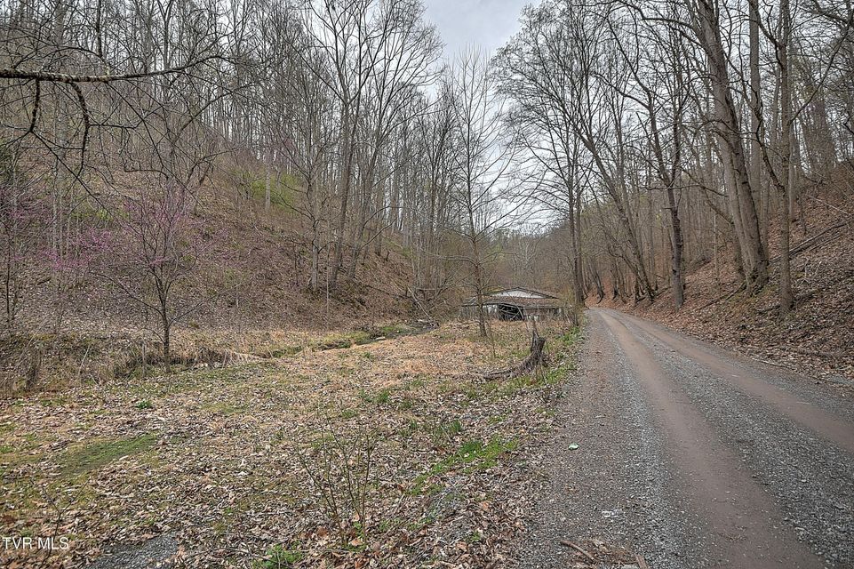 Photo #14: 15866 Large Hollow Road