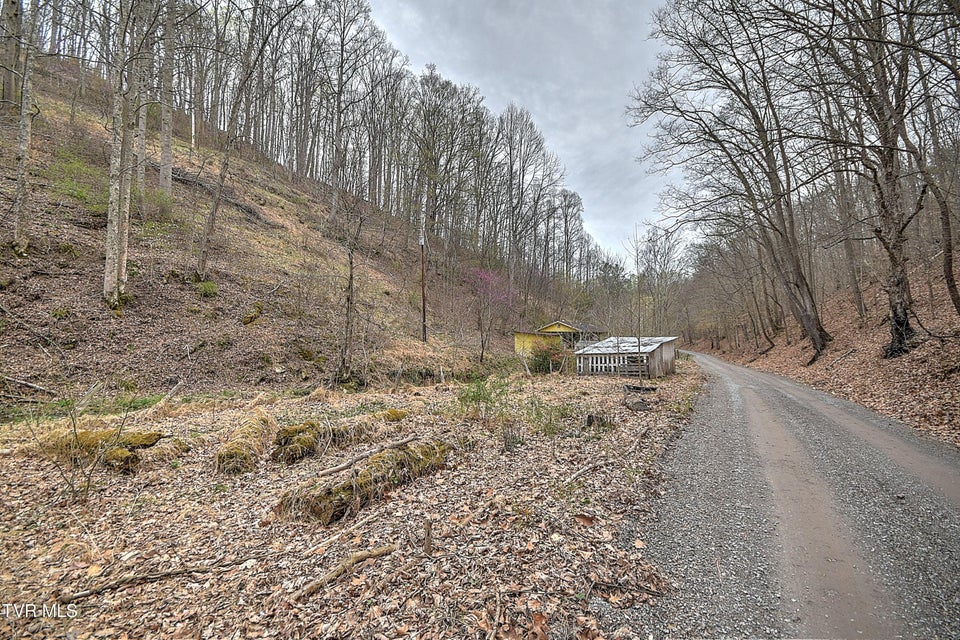Photo #15: 15866 Large Hollow Road