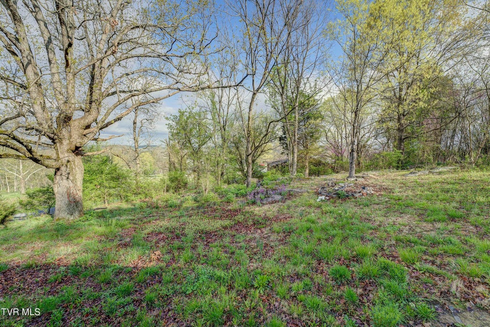 Photo #44: 5744 Orebank Road