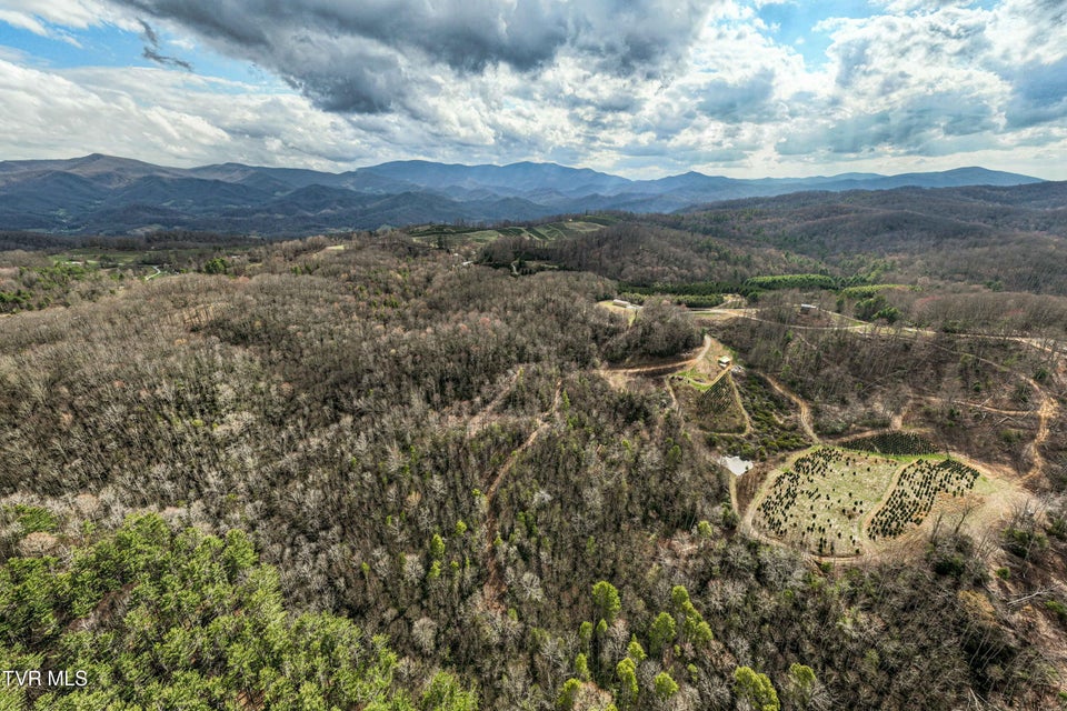 Photo #72: 244 Markland Hill Road