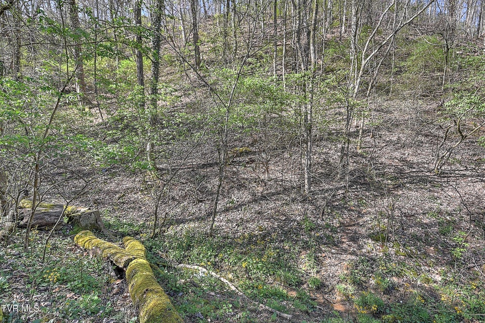 Photo #71: 112 Hidden Valley Road