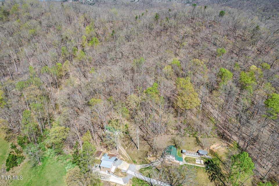 Photo #4: 4740 Upper Possum Crk Road