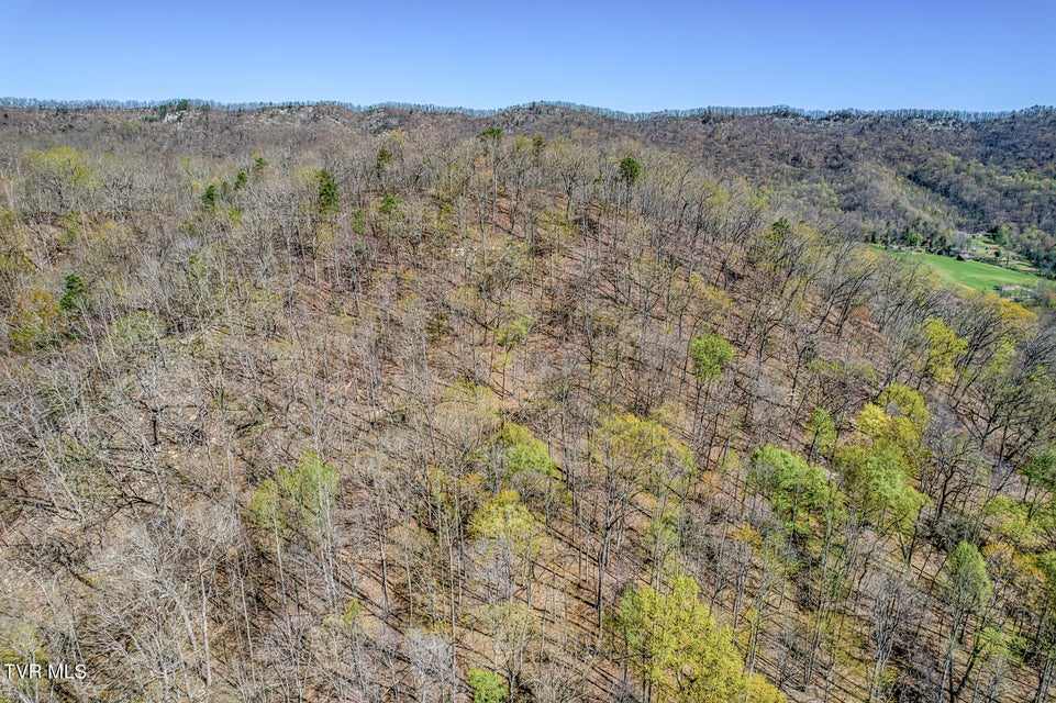 Photo #73: 4740 Upper Possum Crk Road