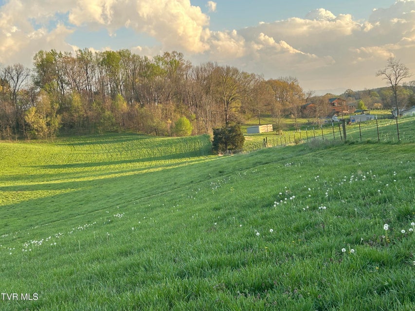 Photo #25: 3490 Milburnton Road