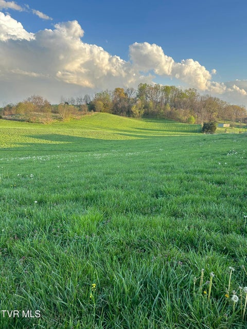 Photo #28: 3490 Milburnton Road
